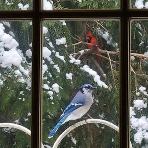 Meet your Posher, Phyllis